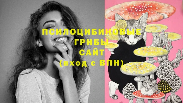 гашиш Абинск