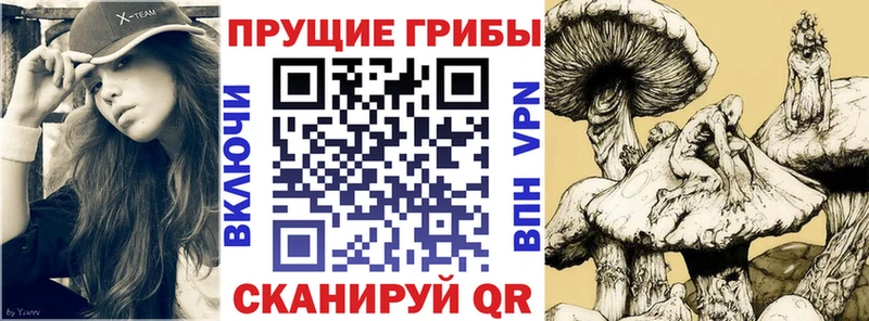 Псилоцибиновые грибы прущие грибы Нижний Ломов